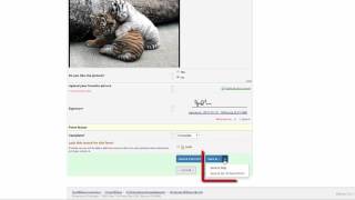 4 REDCap Data Entry