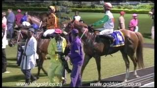 20161216 Greyville Race 6 won by ROY'S DONKEY