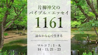 バイブル・エッセイ 1161 『清らかな心で生きる』（聖書朗読とミサ説教：片柳弘史神父）