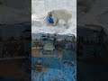 おもちゃド〜ン…　と思ったら、お肉入ってました…🐻‍❄️🥰　24.3.22 15 31 天王寺動物園 japan zoo シロクマ ホッキョクグマ polarbear