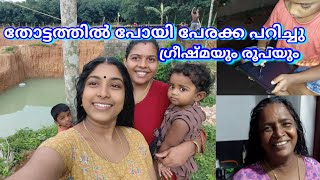 ഞാനും ചേട്ടനും കുറച്ചു ഹെൽത്ത് ടിപ്പ്സും vlog-19