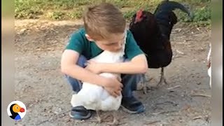 Chicken Hugs Boy After Recognizing Him with New Haircut | The Dodo