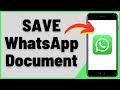 How to Save Document From WhatsApp On iPhone