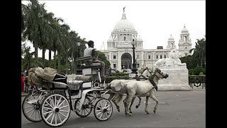 Victoria Memorial | Kolkata Maidan | Horse Carriage | Horse Ride | Street food | Kolkata | CityofJoy