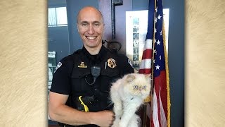 Fort Collins Police Debut New Feline Unit