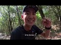 trans jeju by utmb race day 국내 최대규모 트레일러닝 대회 트랜스제주