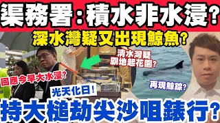 渠務署指今早是積水而非水浸？持大槌劫尖沙咀錶行？深水灣疑又現鯨踪？11-9-2023