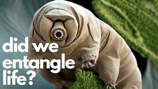 Did Scientists Really Quantum Entangle Tardigrades?