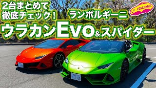 超贅沢比較！　ランボルギーニ・ウラカンEvoとEvoスパイダー2台をLOVECARS!TV!河口まなぶが徹底チェック！　Lamborghini Huracan Evo\u0026Evo Spyder check