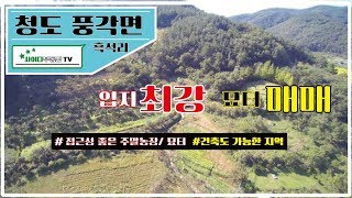 청도토지매매 청도군 풍각면 흑석리 입지최강 묘터 주말농장 등 다용도 토지매매