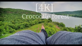 Danger crocodile place(4k) in Telangana, shivvaram lake,