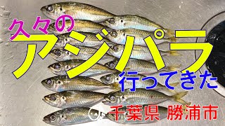 久々にアジパラダイスに行ってきた！ な千葉県勝浦市 2021.01(1)