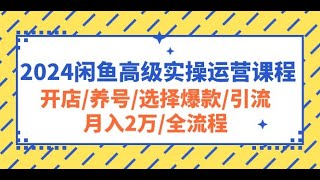 【完整教程】2024闲鱼高级实操运营课程：开店养号选择爆款引流月入2万全流程