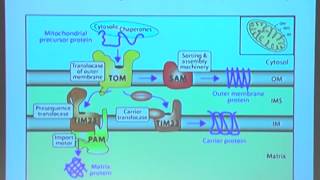 GoldLab Symposium 2012 - Michael Teitell