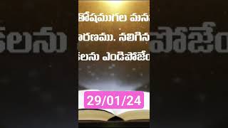 సమస్తమైన దుష్టత్వంతోబాటు ద్వేషం, కోపం, రౌద్రం, అల్లరి, దూషణ అనే వాటిని పూర్తిగా విడిచిపెట్టండ