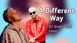 DJ Snake, Lauv - A Different Way ( Lyric Video )
