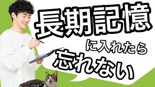 【記憶術】覚えたことを長期記憶に保存する方法