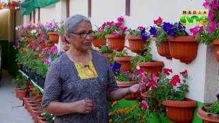 Weekend Arabia | Organic farming in the Qatar a growing trend (Epi197 Part3)