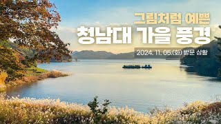 지금 현재 그림처럼 예쁜 청남대 가을 풍경 🍂🍁 #청남대 #단풍 #대청호