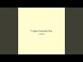 Fragile Cascade Sky