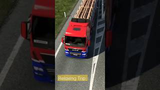 MAN TGX - Logs - Double - Relaxing Trip - Euro Truck Simulator