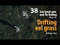 How to • Sea trout - Spin and fly fishing • Drifting eel grass • fishing tips