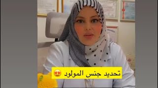 تحديد جنس المولود 🥰 / مع الدكتوره انعام سلهب