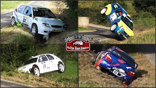 Rallye du Sel 2024 [CRASHES]