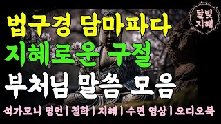 법구경 담마파다의 지혜로운 구절ㅣ불교철학ㅣ석가모니의 인간 관계 처세에 대한 인생 조언ㅣ석가모니의 부처님 명언ㅣ침묵하고 냉정하게 살아라ㅣ불교 오디오북ㅣ현명하고 지혜로운 사람