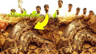 Strangest Things Recently Discovered In Asia #2