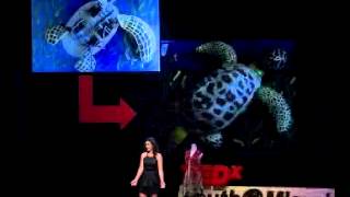 Imaginative engineering | Gabriella Garcia | TEDxYouth@Miami