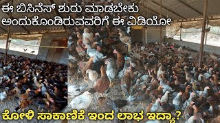 poultry | koli sakanike | ನಾಟಿ ಕೋಳಿ ಸಾಕಾಣಿಕೆ| country chicken farming|Low cost farming