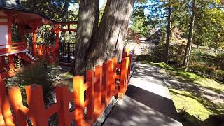 Danjo-Garan, Koyasan Japan, quick walk (raw video)