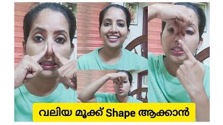 Nose Shaping Exercise || Malayalam || വലിയ മൂക്ക് Shape ആക്കാൻ