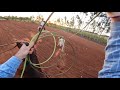 Go Pro Hero 10 - Team roping (Heeling View)