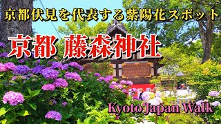 6月13日(木)【Fujinomori Shrine】約40品種3,500株の紫陽花が咲き誇る藤森神社は、紫陽花の宮とも呼ばれています。紫陽花を観賞できる場所は「第一紫陽花苑」と「第二紫陽花苑」です。