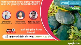 Syngenta Watermelon Agronomy  Hindi