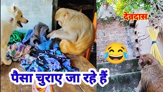 रानी पैसे कैसे निकालतीं है👆👆।। रानी राजा को कैसे मारती है।। रानी हनी का सुबह का नाश्ता🥗🥗।।