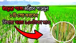 ধানের পাতা মরিচা পড়লে ১টি স্প্রে করবেন বিঘায় খরচ ১৫০টাকা মাএ।