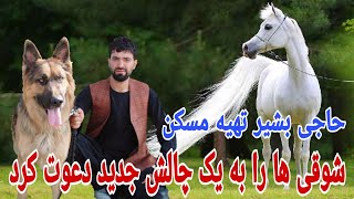 شوقی_حاجی بشیر تهیه مسکن شوقی ها را به یک چالش جدید دعوت کرد