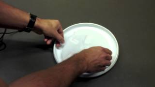 Team 8 (Frisbee Pro) Demo Video