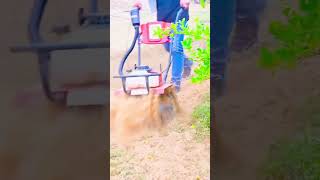 किसान भाइयों के लिए निराई-गुड़ाई वाला छोटा ट्रेक्टर 💪| Balwaan Mini Tiller | #minitiller #tiller