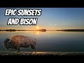 Exploring An Island Of Bison - Elk Island National Park Vanlife