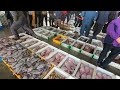 동해 묵호항 어시장 수산물 도매 가격 택배 방법 공개 곰치 가자미 대폭락 korean fish market channel.