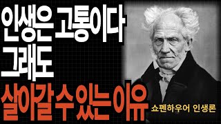 인생은 고통이다 그래도 살아갈 수 있는 이유/쇼펜하우어 인생론/인생 조언/오디오북/처세