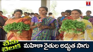 Vegetable Cultivation by Panugodu Woman Farmers | మహిళా రైతుల సమిష్టి కృషి| Chenu Chelaka | T News