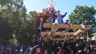 令和6年10月12日 錦織神社宮入り　新家町だんじり