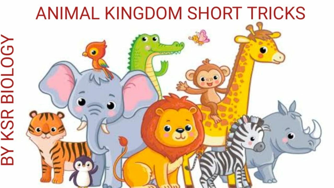 ANIMAL KINGDOM SHORT TRICKS FOR NEET CLASS XI - YouTube