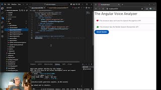 Angular - Web API Speech Analyzer: Video 014 next steps