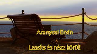 Aranyosi Ervin: Lassíts és nézz körül!